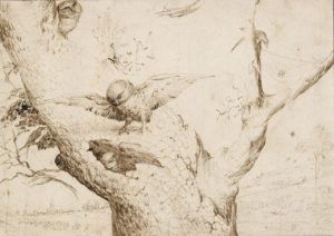 The Owl's Nest Hieronymus Bosch 